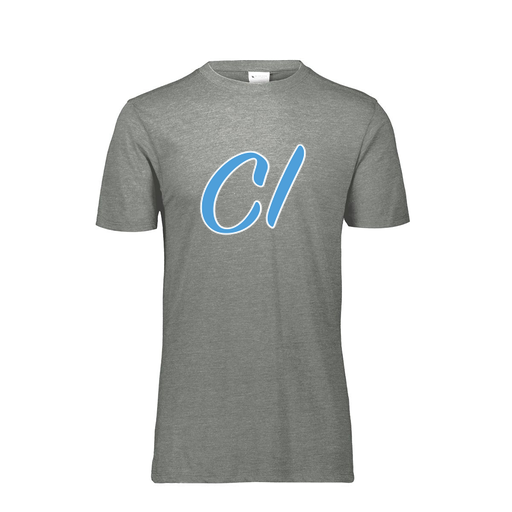 [FTSCUBGY-AS-LOGO3] Men's Ultra-blend T-Shirt (Adult S, Gray, Logo 3)